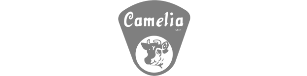 Camelia